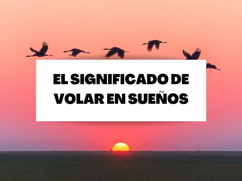 ¿Qué quiere decirte tu mente cuando sueñas que puedes volar?